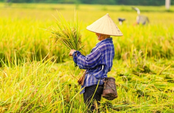 Mai Chau In November - Top Things To Do And See Mai Chau In November - Top Things To Do And See
