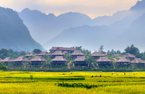 Top 10 Homestays For An Authentic Experience In Mai Chau Top 10 Homestays For An Authentic Experience In Mai Chau