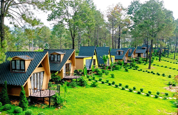 The 09 Best Homestays In Ninh Binh. The 09 Best Homestays In Ninh Binh.