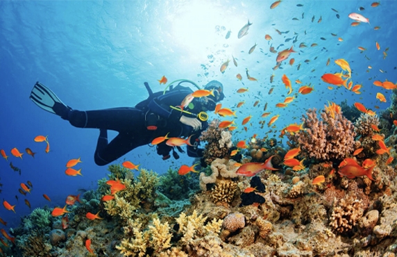 What To Do In Phu Quoc In 3 Days? Itinerary Review By Mr. Alexis What To Do In Phu Quoc In 3 Days? Itinerary Review By Mr. Alexis
