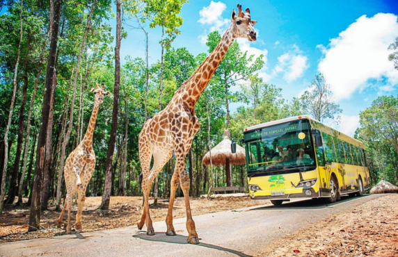 Travel To Vietnam In November - What To Do In Phu Quoc In November? Travel To Vietnam In November - What To Do In Phu Quoc In November?