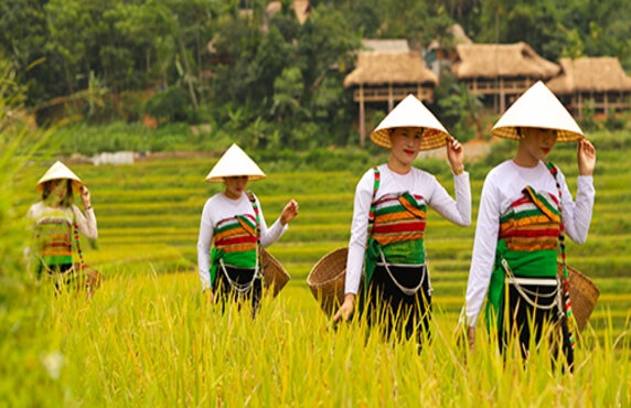 Explore Kho Muong Village: A Natural Gem In Pu Luong, Vietnam Explore Kho Muong Village: A Natural Gem In Pu Luong, Vietnam