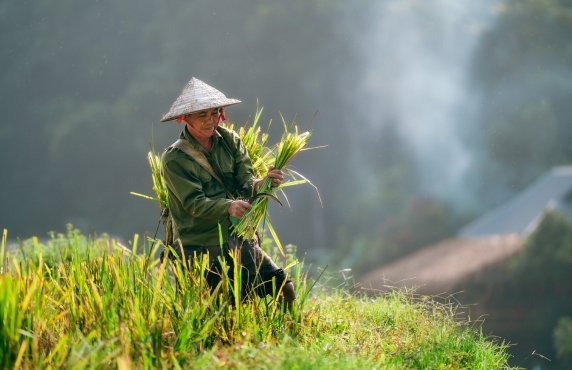 Pu Luong Tourist Map - Top Places To Visit And Things To Do