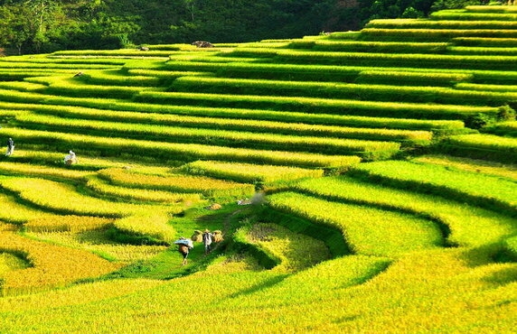 Things To Do In Pu Luong For 2 Days: The Prefects Itinerary Things To Do In Pu Luong For 2 Days: The Prefects Itinerary