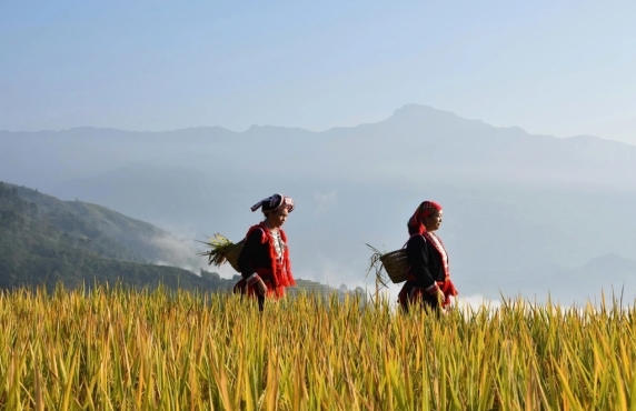 Why Choose Responsible Travel In Vietnam?