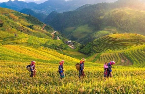 Review Of The Yen Bai Itinerary 2 Days In Northern Vietnam By Mr. Opée Review Of The Yen Bai Itinerary 2 Days In Northern Vietnam By Mr. Opée