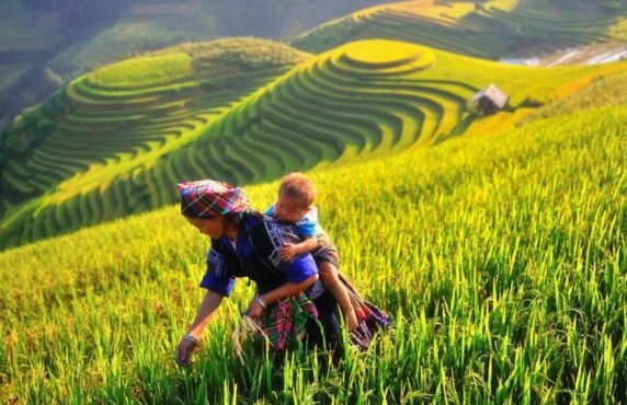 What To Do In Yen Bai Vietnam 3 Days? Itinerary Review By Mr. Mike What To Do In Yen Bai Vietnam 3 Days? Itinerary Review By Mr. Mike
