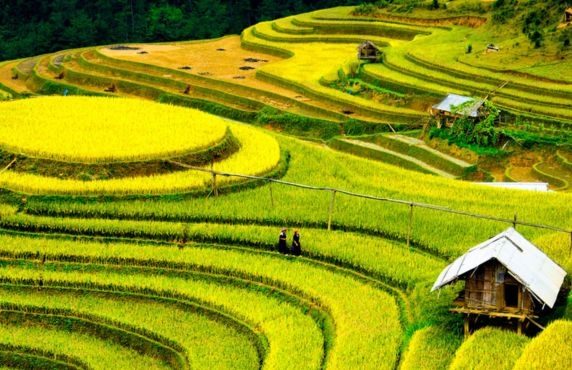 Yen Bai In 5 Days: Northern Vietnam Itinerary Review By Diop Family Yen Bai In 5 Days: Northern Vietnam Itinerary Review By Diop Family