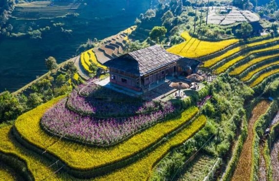 Where To Stay In Mu Cang Chai? Top 6 Best Homestays In Mu Cang Chai Where To Stay In Mu Cang Chai? Top 6 Best Homestays In Mu Cang Chai