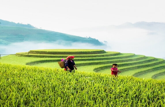 Mu Cang Chai Weather: Discover The Best Time To Visit Mu Cang Chai, Yen Bai Mu Cang Chai Weather: Discover The Best Time To Visit Mu Cang Chai, Yen Bai