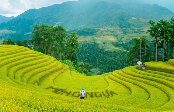 Tu Le Or Mu Cang Chai? Where Is The Best Choice For Your Trip To Yen Bai? Tu Le Or Mu Cang Chai? Where Is The Best Choice For Your Trip To Yen Bai?