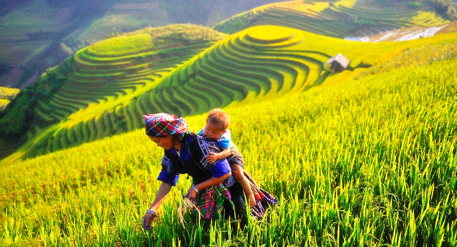 922-9-mu-cang-chai-yen-bai-vietnam