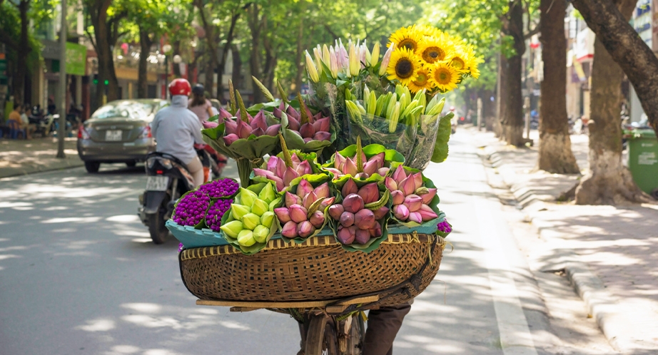 Street vendor in Hanoi, Vietnam