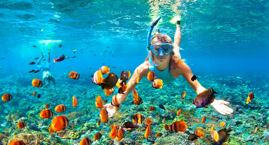 Snorkeling in Koh Chang island