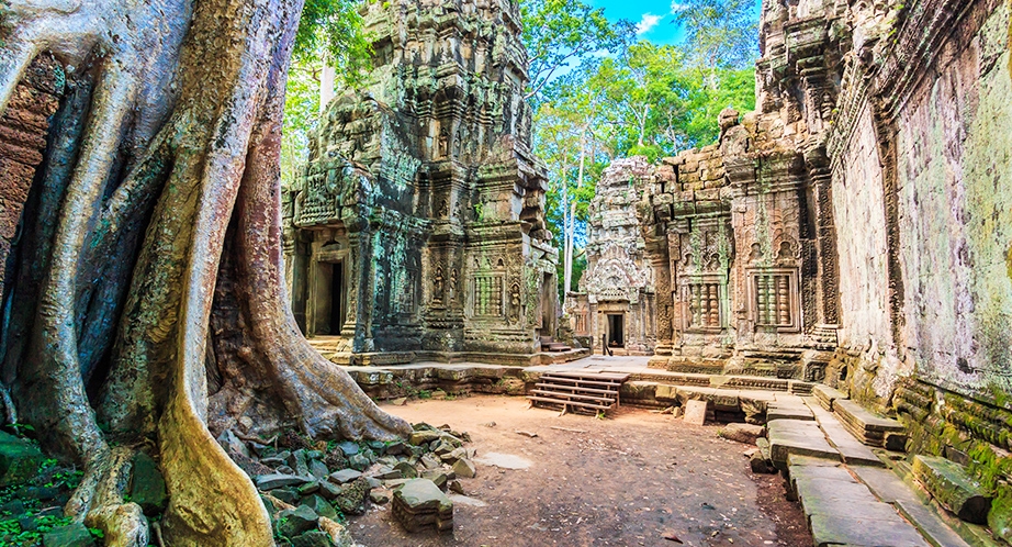 Ta Prohm Temple - Siem Reap - Cambodia
