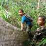 What To Do In Ratanakiri Cambodia? Top Things To Do And See In Ratanakiri