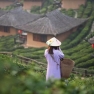 Explore Top Must-See Attractions In Mae Hong Son Thailand