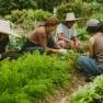 Discover Eco-farm In Thailand - Authentic Rural Experience