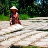 What To Do In Ben Tre ? Visit My Long Rice Paper Craft Village In Ben Tre, Vietnam