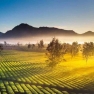Review Of 5 Days In The Central Highlands Of Vietnam By Mr. Hamid