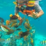 Snorkeling In Northern And Southern Vietnam - Which Region Is Best ?