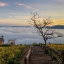 Mr. Albert's Recommendation For 4 Day-trip In Da Lat Nha Trang