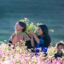 What To Do In Ha Giang In November? Advice From Mr. Pedro