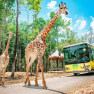 Travel To Vietnam In November - What To Do In Phu Quoc In November?