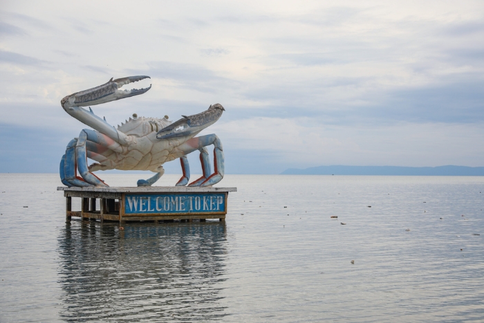 What to do in Cambodia in 10 days? Crabs are a local specialty in Kep