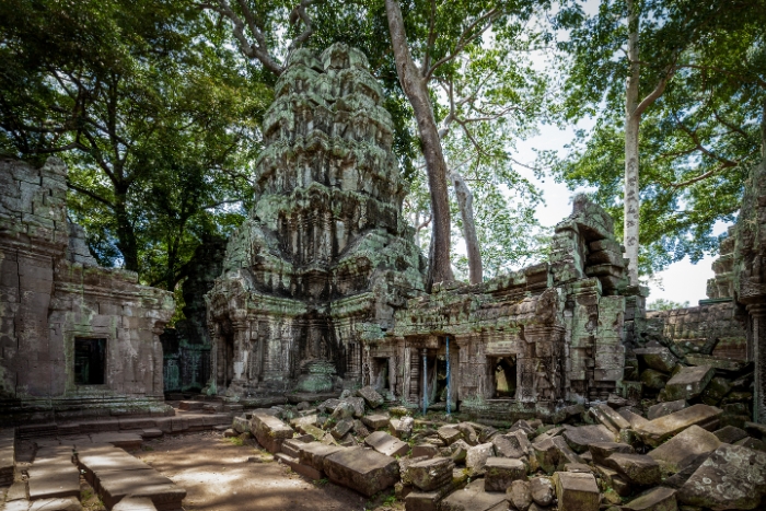 What to see in Cambodia in 3 weeks? Ta Prohm, where the sprawling roots of the kapok trees entwine the ruins