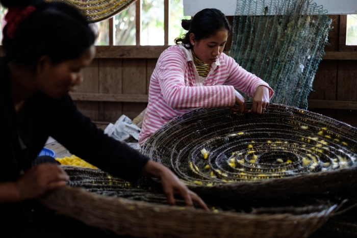 Angkor Silk Farm, Siem Reap, Cambodia