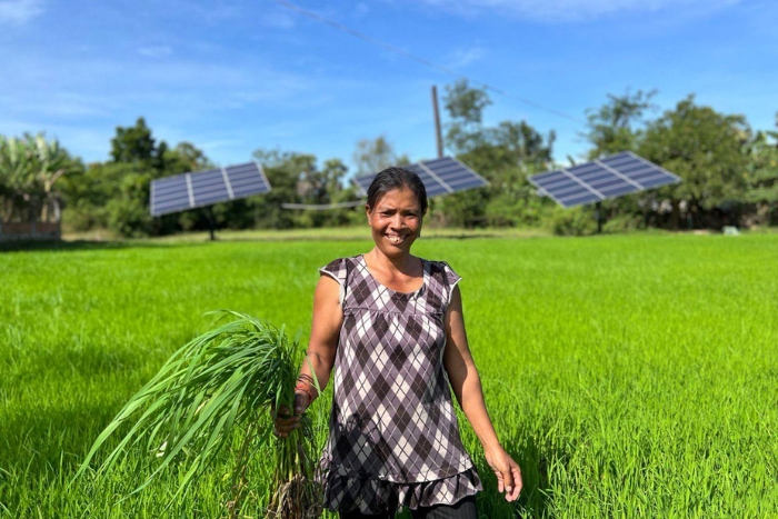 Cambodians plant rice