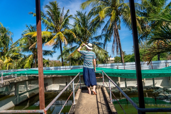 Discovering a crocodile farm – visit Battambang with kids