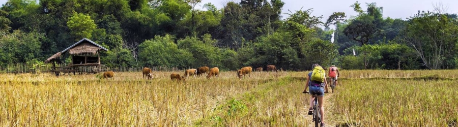 What to do in a 2-day small group tour to Battambang?
