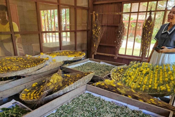 Exploring Local Farms and Workshops During the Rainy Season in Battambang
