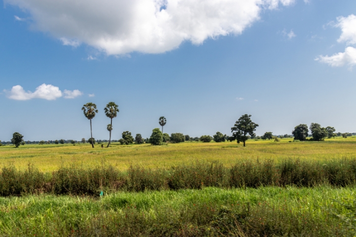 The end of the dry season in Battambang: when to go to Battambang in November, March and April