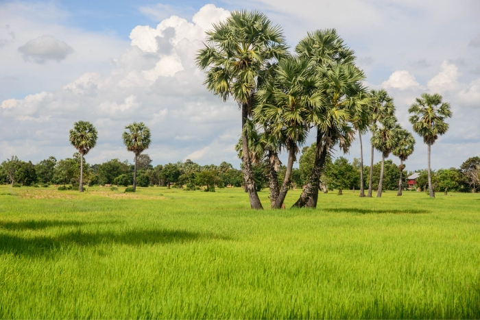 Exploring Battambang on Two Wheels – A Hidden Gem in Private Cambodia Tours