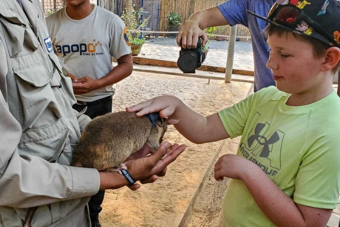 APOPO Visitor Center, Siem Reap