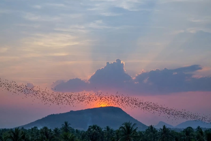 The sunset at Bat Cave is another unforgettable moment during a family trip in Cambodia
