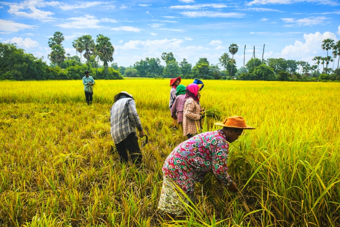 Participation in agricultural activities during an eco-farm visit in Cambodia