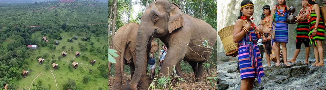 When to visit Mondulkiri? Best time to visit Mondulkiri Cambodia