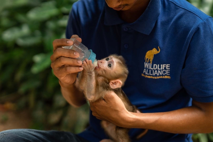Phnom Tamao Wildlife Rescue Center, Phnom Penh, Cambodia