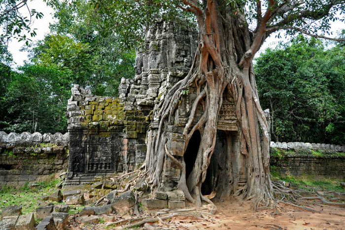 Ta Som, a small but very photogenic temple within the Angkor Wat complex