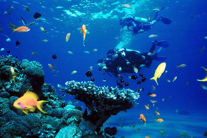 On Koh Rong Island, you can enjoy a variety of exciting water activities