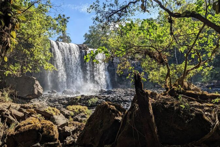 I truly enjoyed the serene atmosphere of this forest in Mondulkiri