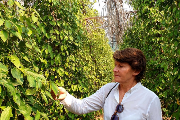 Visiting pepper plantations with your children