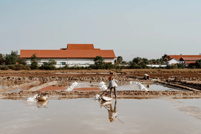 Discovering the salt fields in Kampot