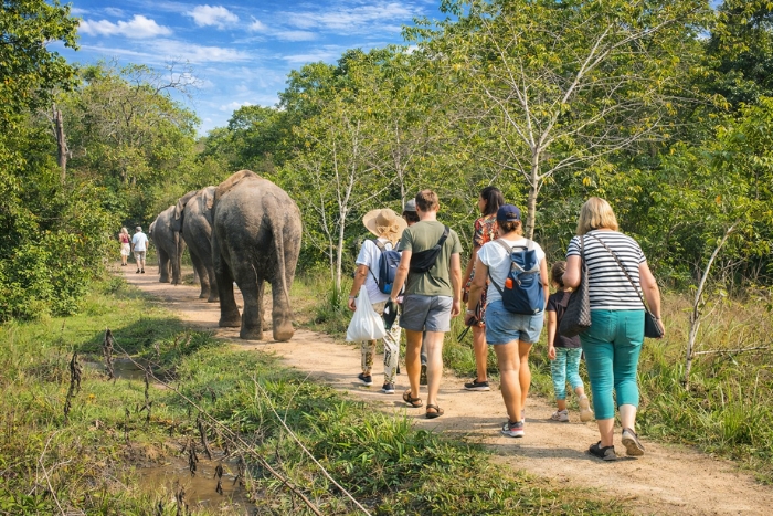 Children observing elephants at Kulen Elephant Forest in Cambodia