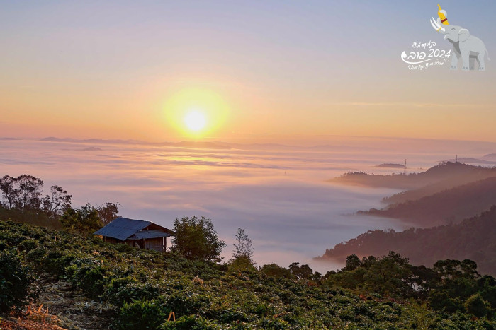 Trek through Phongsali’s rugged landscapes and discover its rich culture