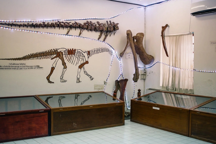 Dinosaur museum in Savannakhet for your central Laos family destination